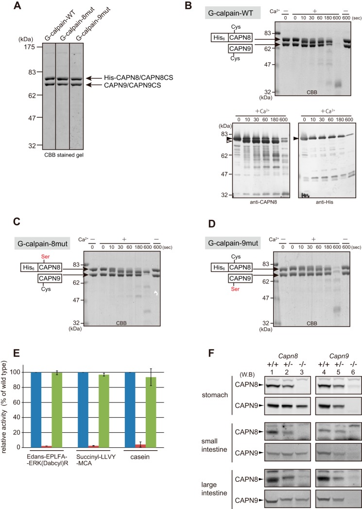 FIGURE 4.