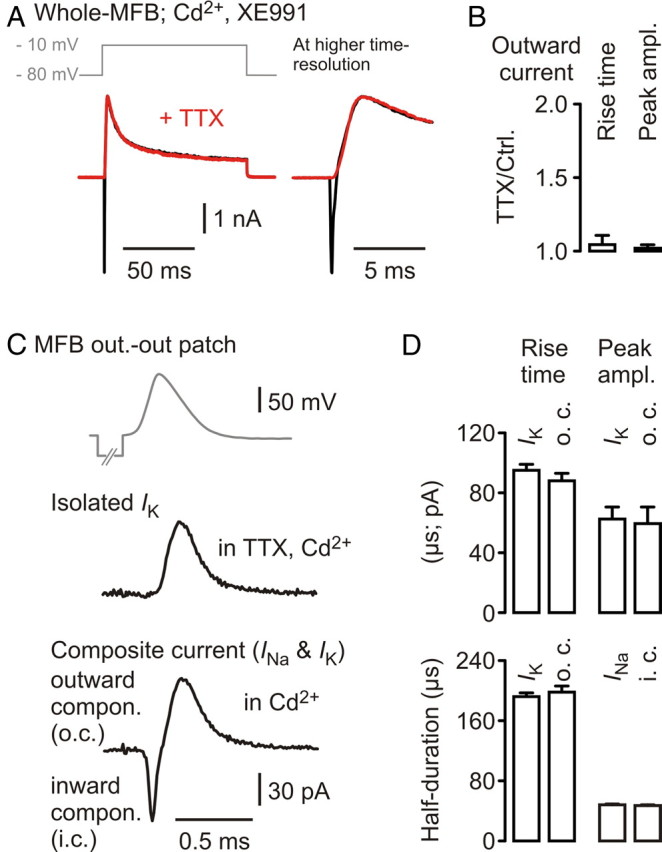 Figure 5.