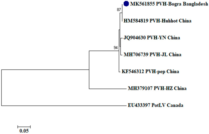 Figure 5