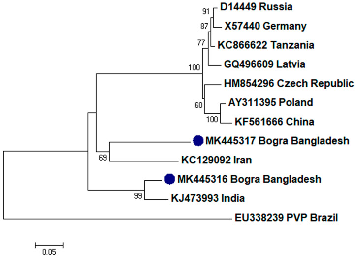 Figure 7