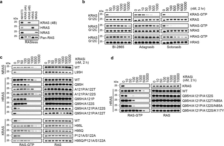 Extended Data Fig. 3