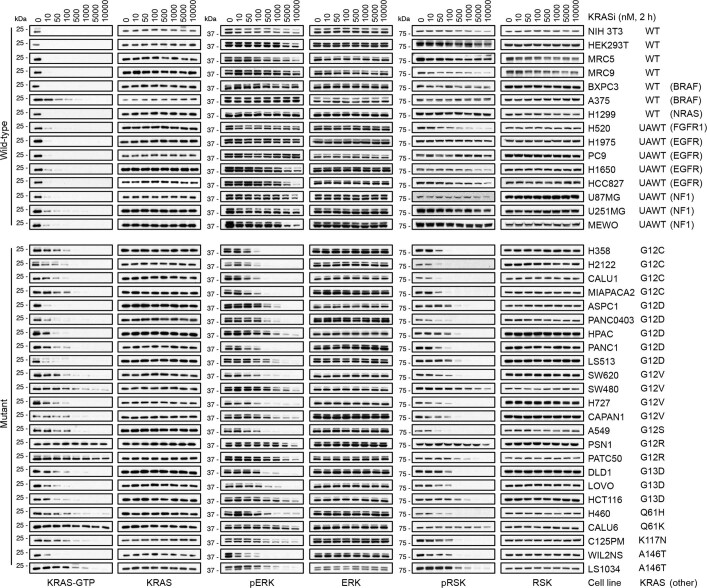 Extended Data Fig. 5