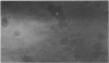 79