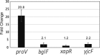 FIG 6