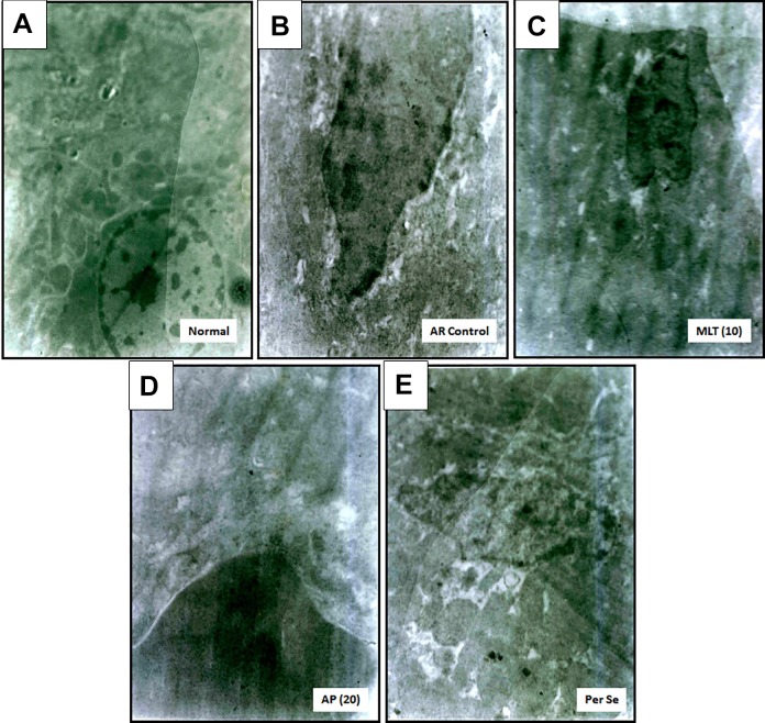 Figure 4.