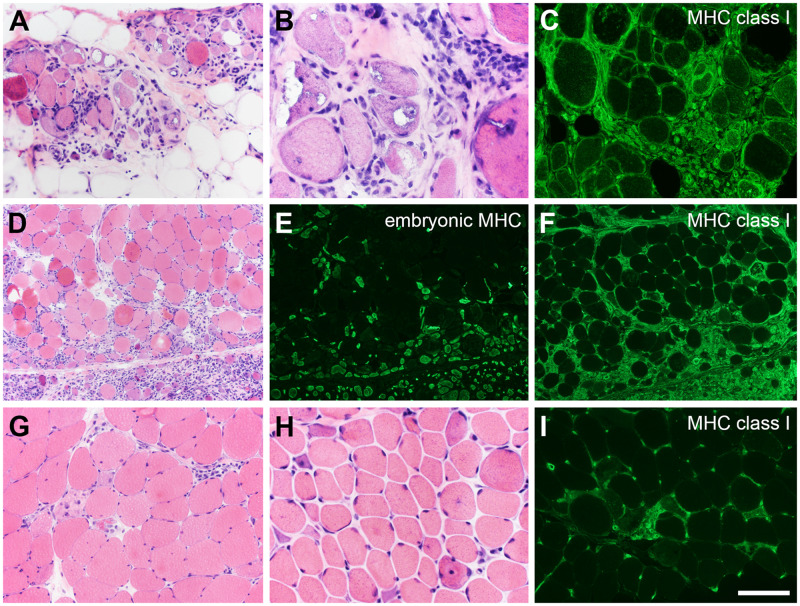 FIGURE 10.