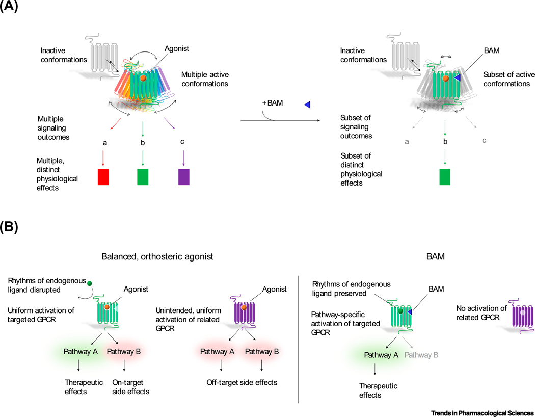 Figure 1, Key Figure.