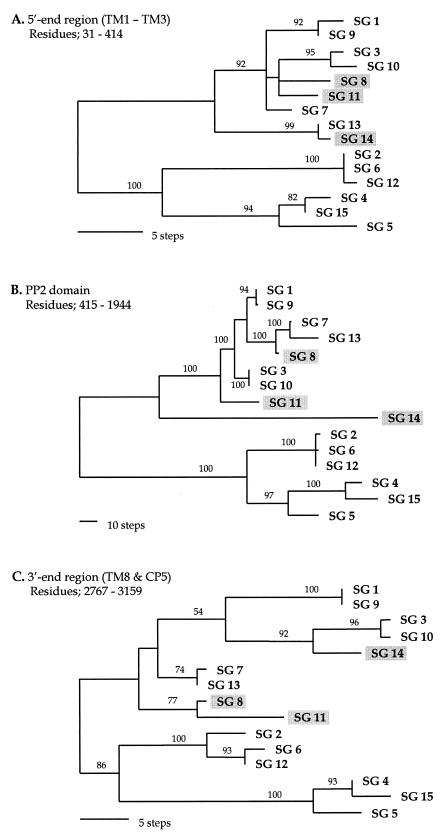 FIG. 4.