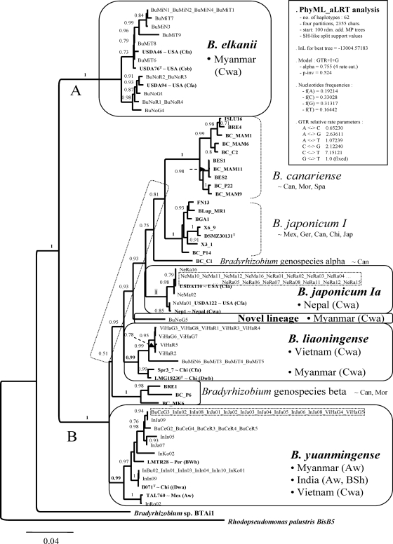 FIG. 1.