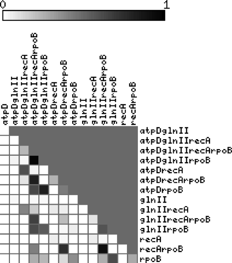 FIG. 2.