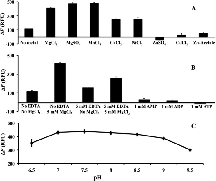 FIGURE 4.