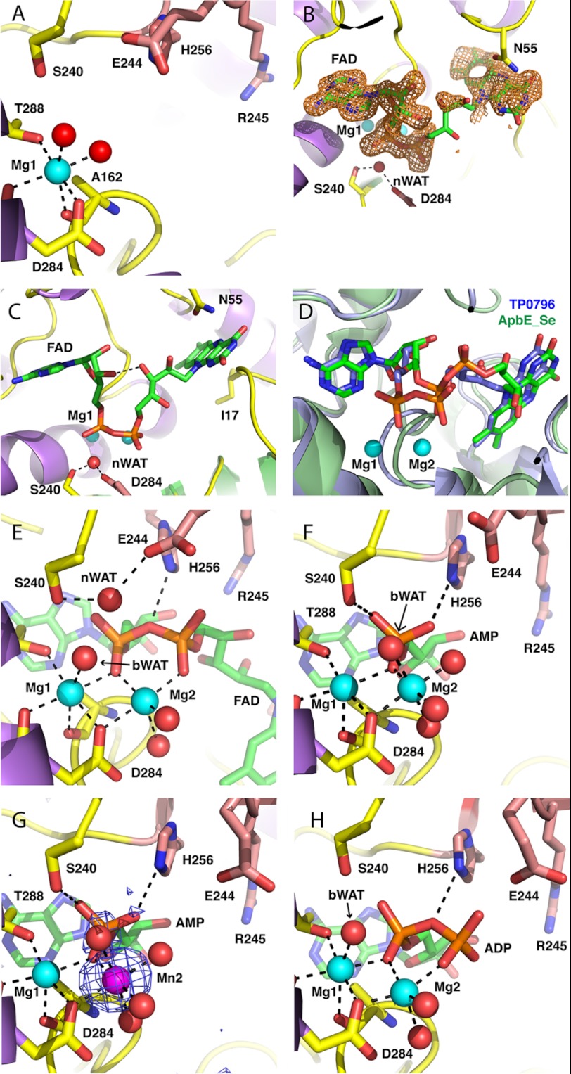 FIGURE 3.