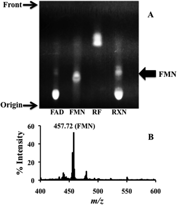 FIGURE 5.