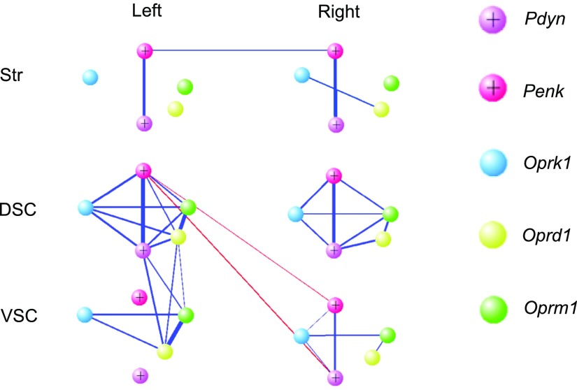 Figure 5.