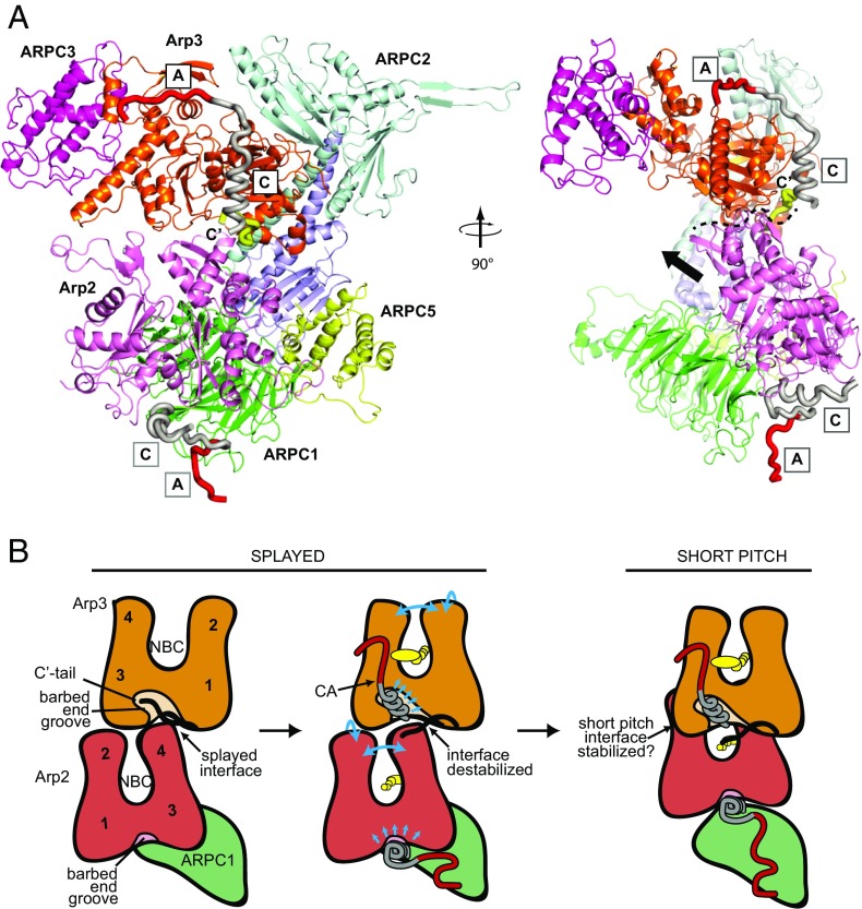 Fig. 7.