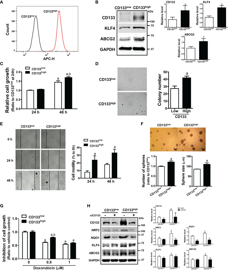 Figure 5