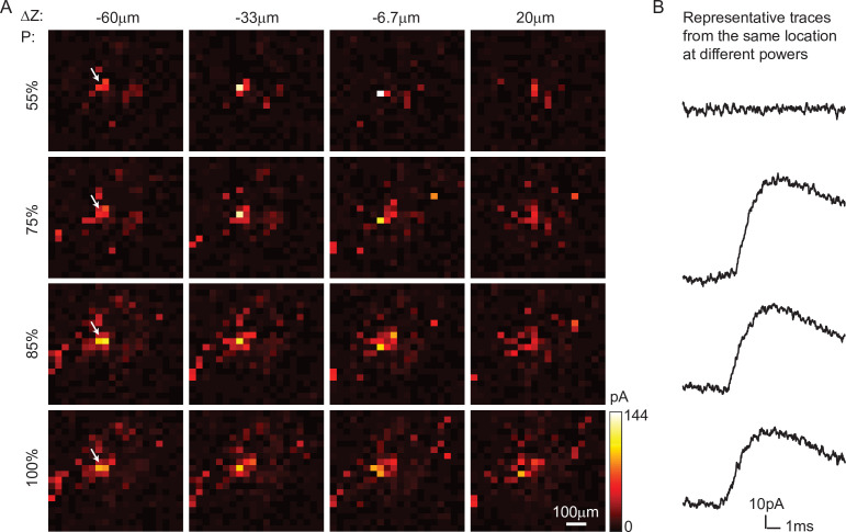 Figure 4—figure supplement 1.