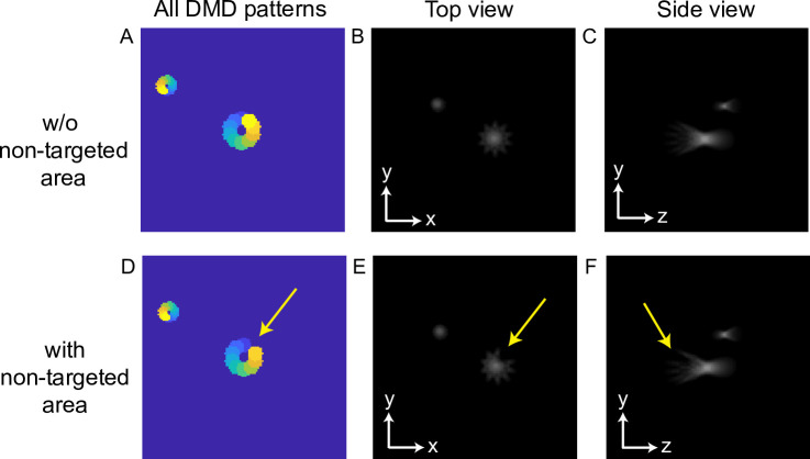 Figure 1—figure supplement 2.