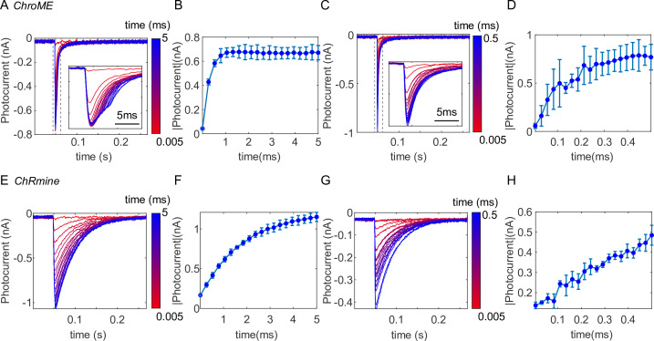 Figure 3—figure supplement 1.