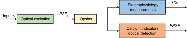 Figure 7—figure supplement 2.