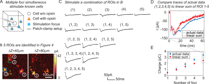 Figure 5.