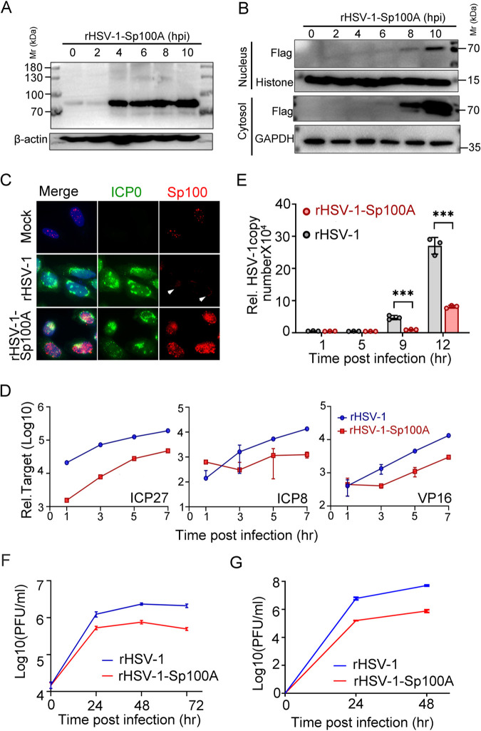 FIG 6