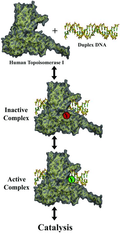 Fig 5.