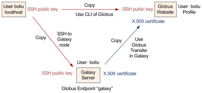 Fig. 10