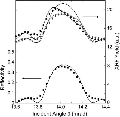 FIGURE 3