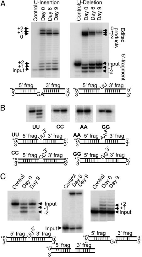 Fig. 5.