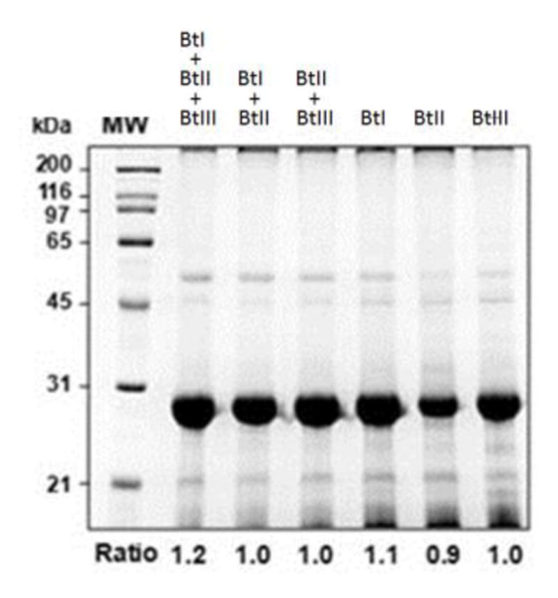 Fig. 5