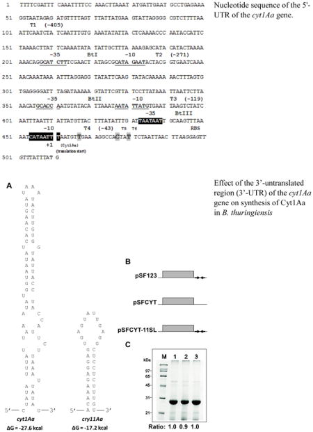 graphic file with name nihms899265u1.jpg