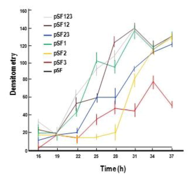 Fig. 3