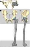 Fig 2