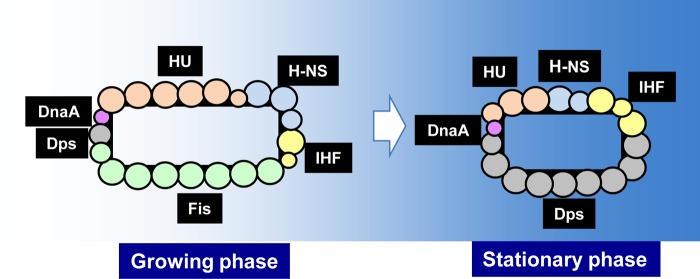 FIG 3