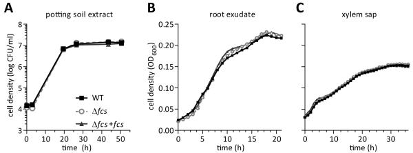 Fig. 4