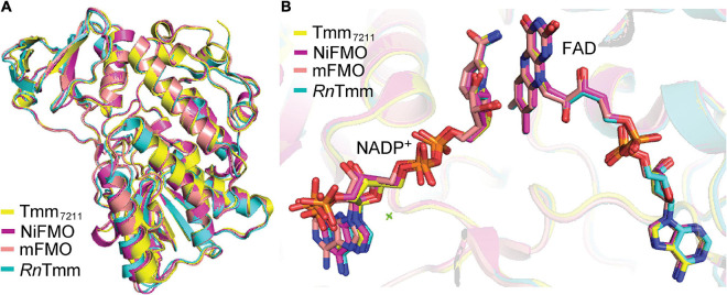 FIGURE 6