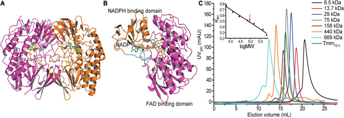 FIGURE 2