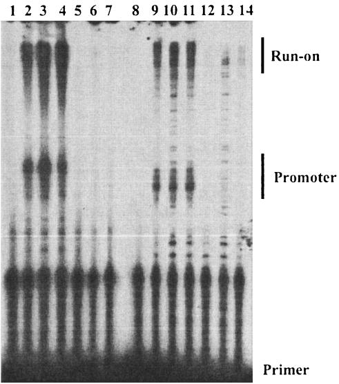 FIG. 5.