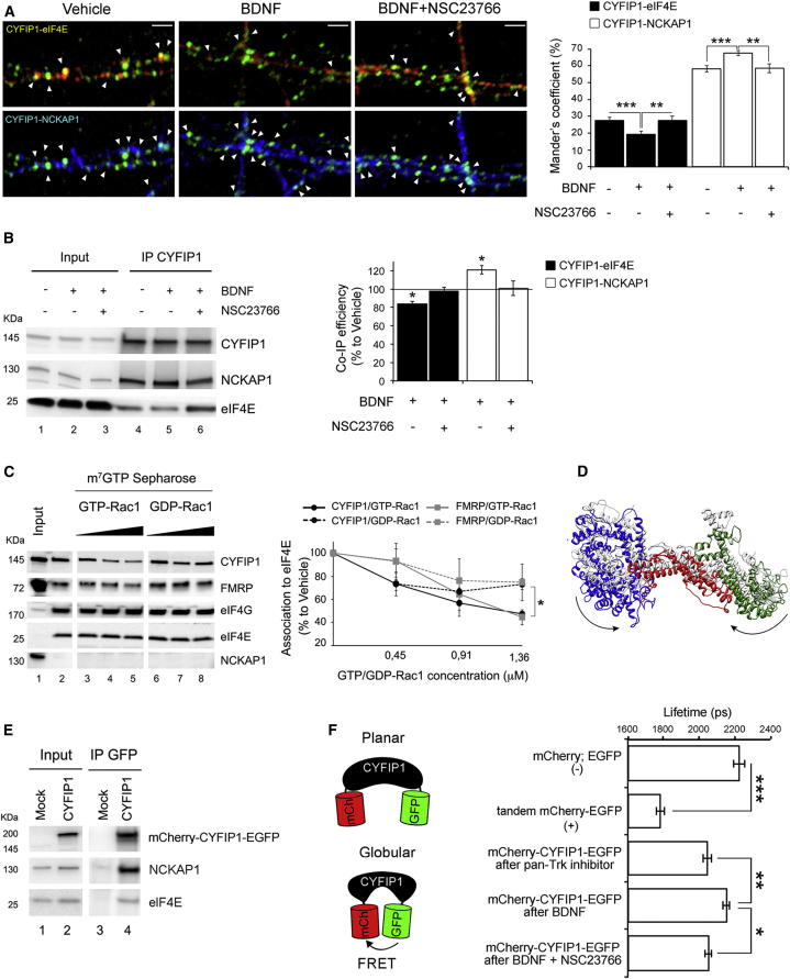 Figure 2