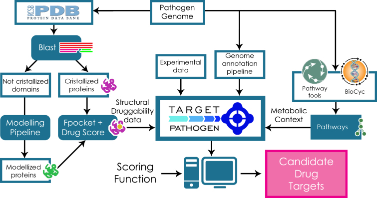 Figure 1.