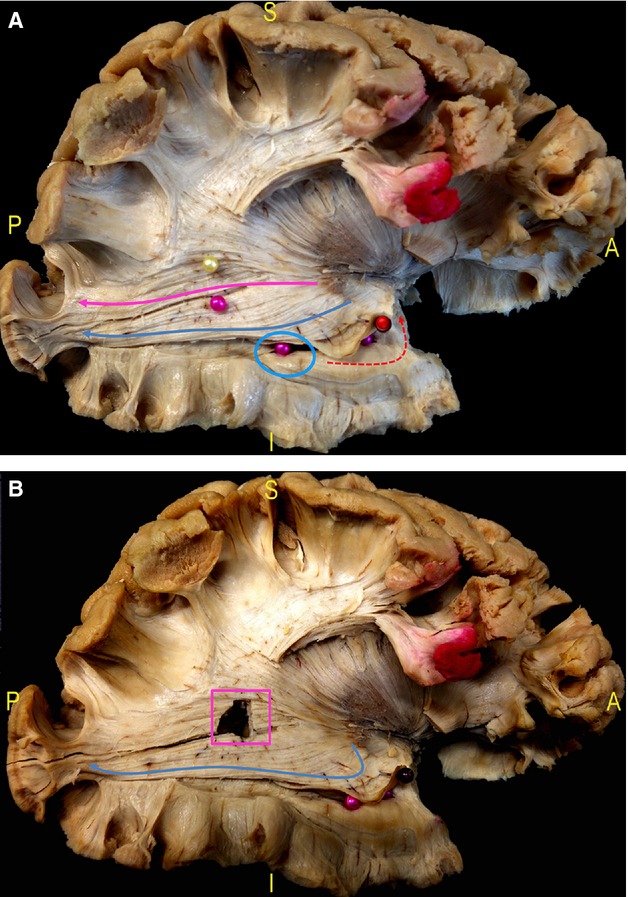 Fig. 8