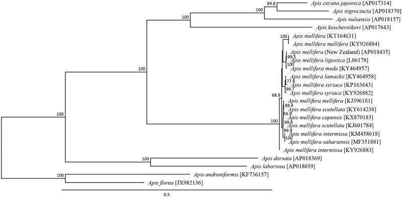 Figure 1.