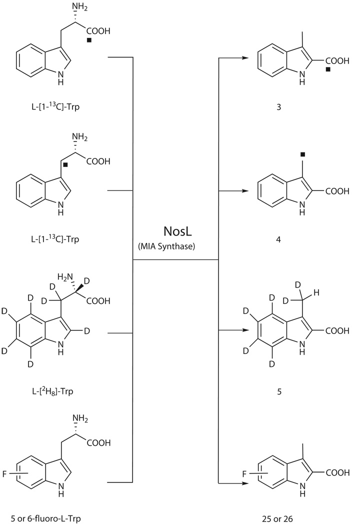 Scheme 1