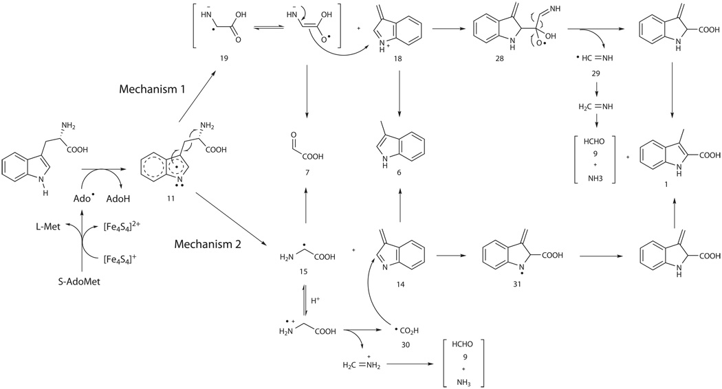 Scheme 2