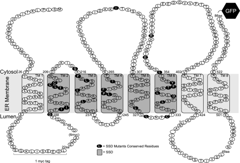 FIGURE 9.