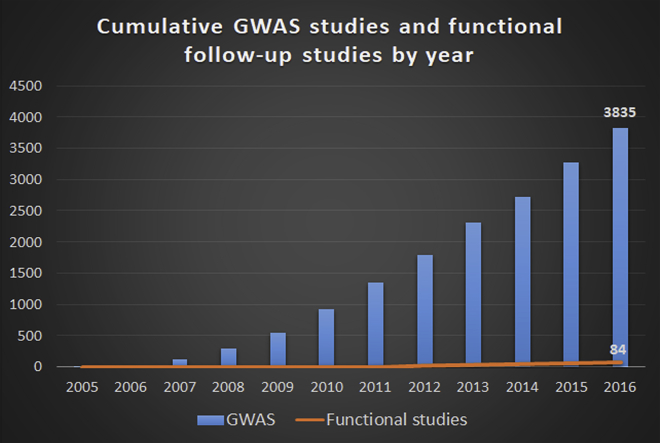 Figure 1