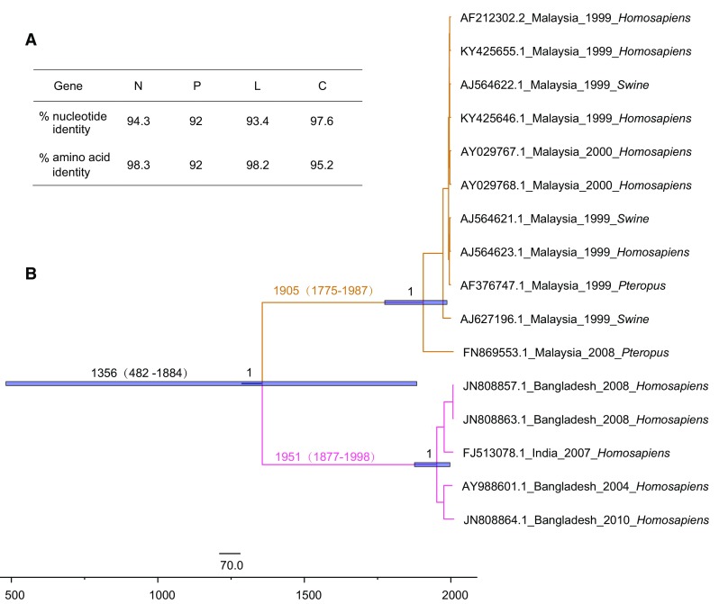 Fig. 4