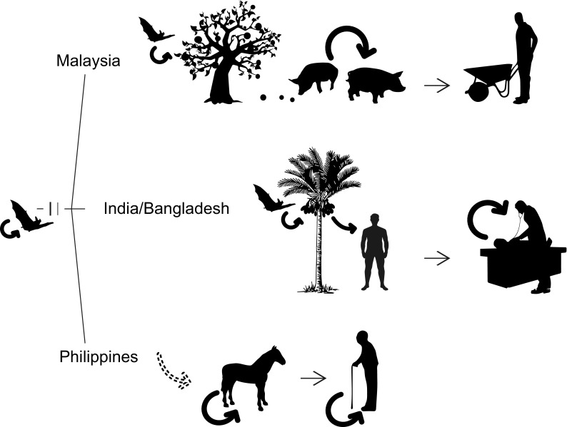 Fig. 3