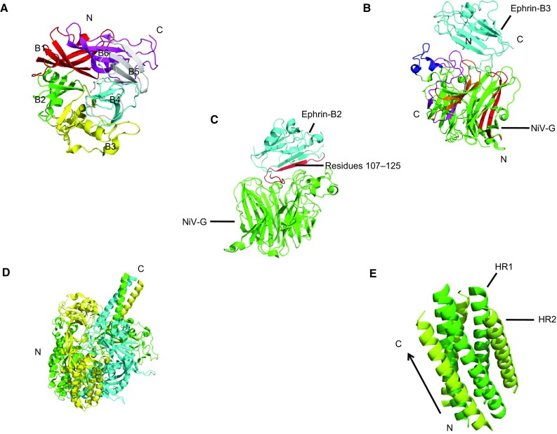 Fig. 6